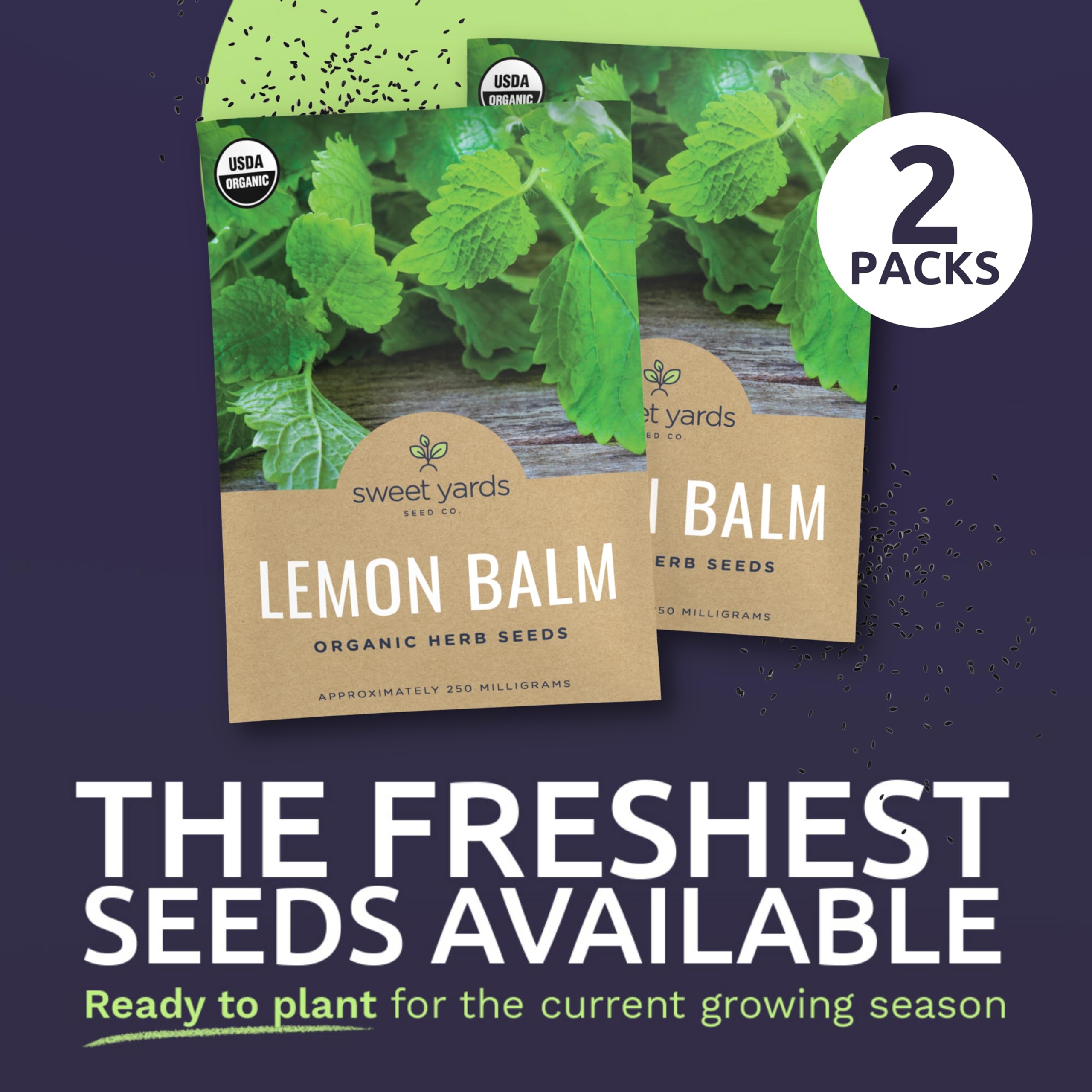 Sweet Yards Organic Lemon Balm growing in a garden pot for fresh harvest.