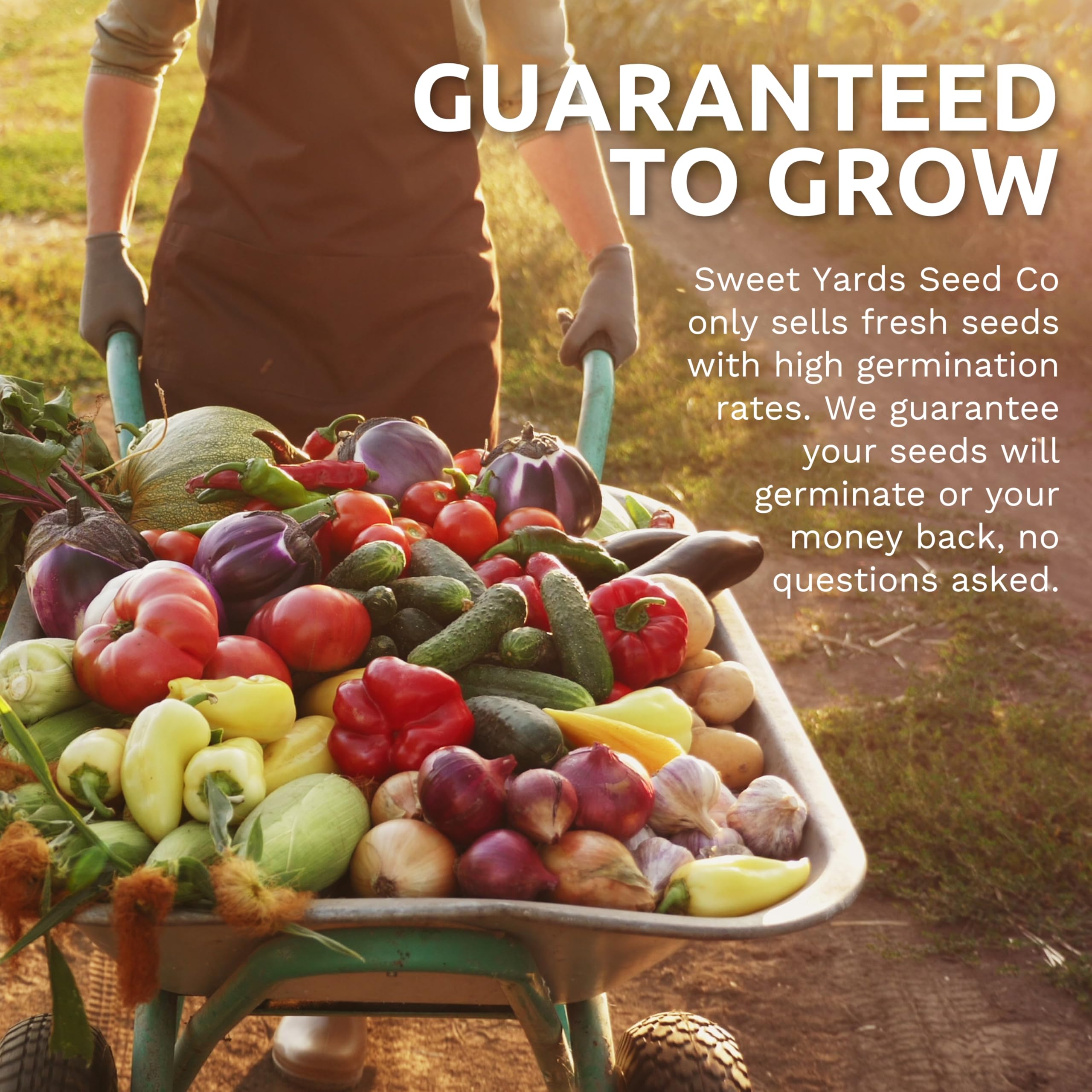 Sweet Yards 2026 season seeds promise freshness and strong germination