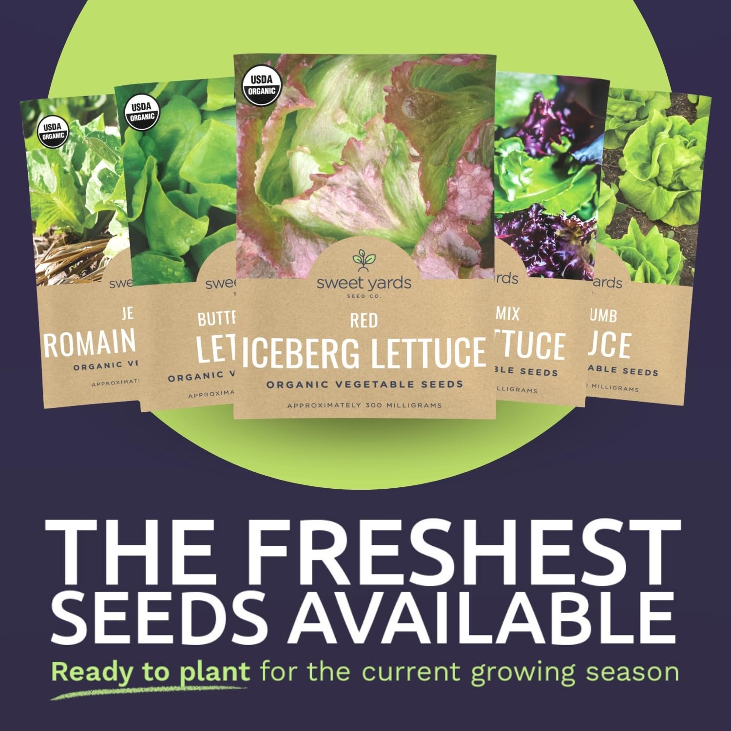 Sweet Yards Tom Thumb seed pack for compact, easy growing lettuce