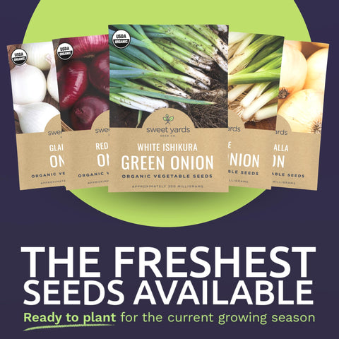 SWEET YARDS Organic Onion Seeds Walla Walla Yellow Onion for sweet bulbs.