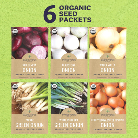 SWEET YARDS Organic Onion Seeds White Ishikura Green Onion for fresh scallions.