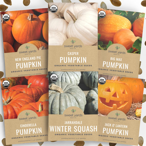 Sweet Yards organic pumpkin seeds collection packaging for easy planting and gifting.