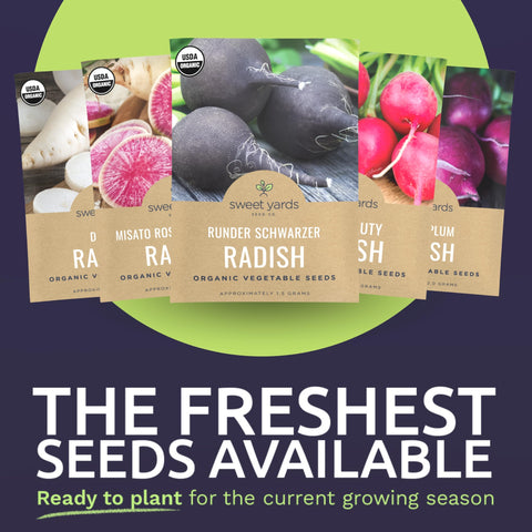 Sweet Yards French Breakfast radish seeds produce crisp white centers and snappy bites.