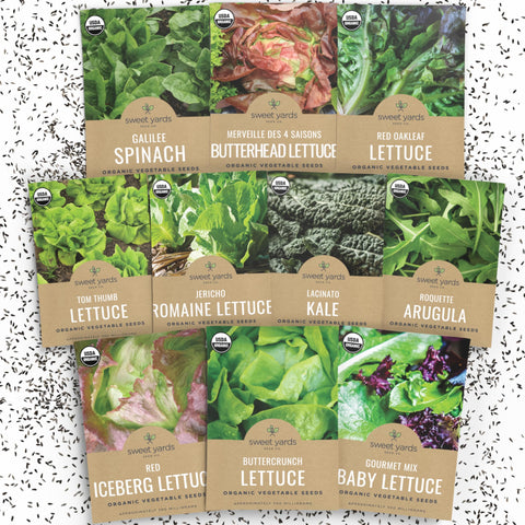 Sweet Yards organic seeds variety pack laid out for home gardening, ideal for fresh salads.