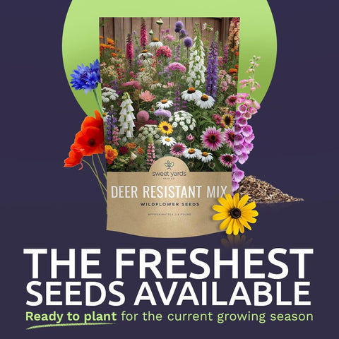 Sweet Yards over-60,000 seeds close-up showing abundant planting potential.