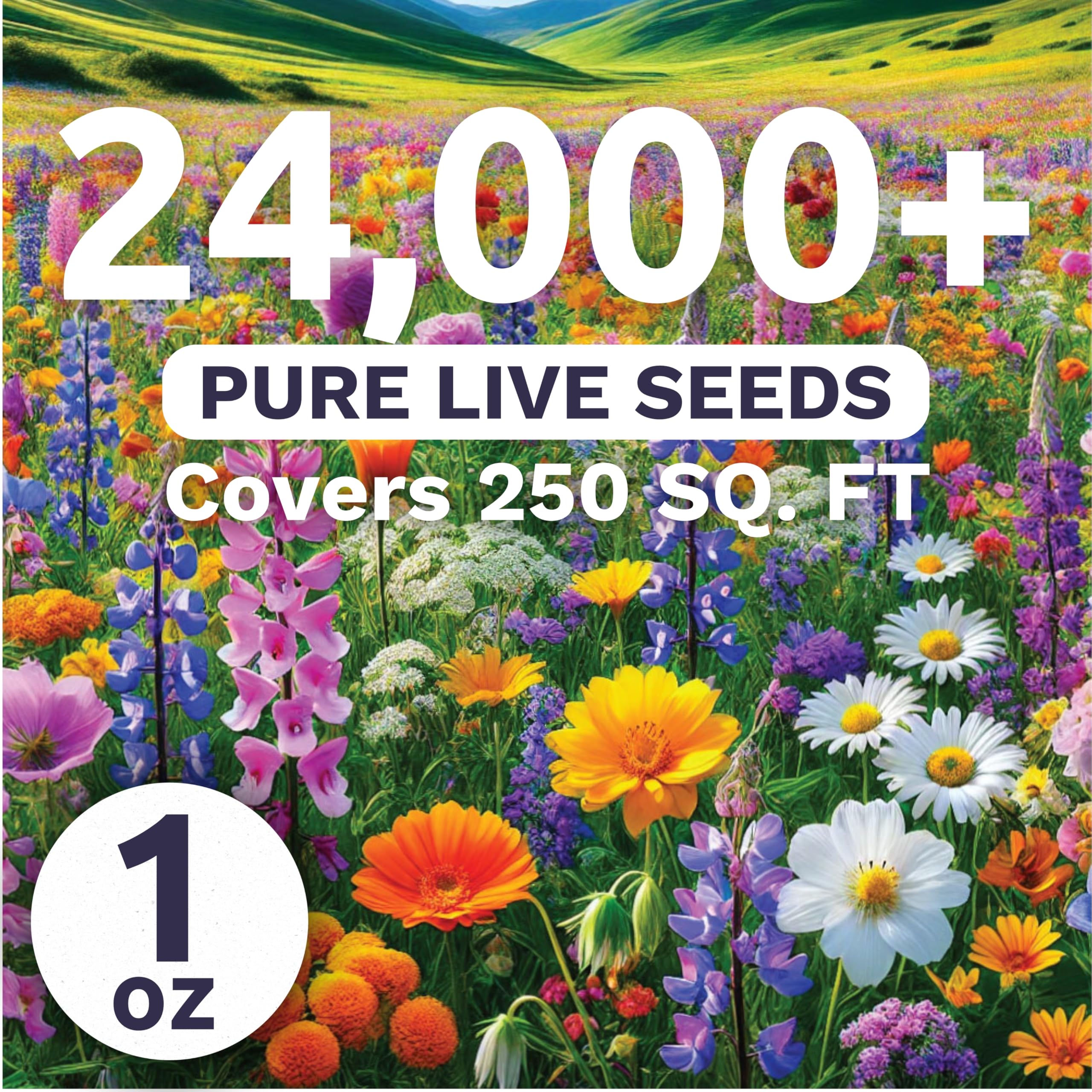 Sweet Yards Pacific Northwest wildflower seeds pour highlighting strong germination potential.