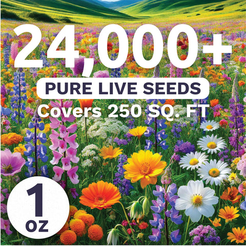 Sweet Yards Pacific Northwest wildflower seeds pour highlighting strong germination potential.