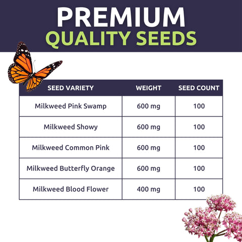 Sweet Yards Pink Swamp Milkweed seeds attract butterflies and provide nectar-rich habitat