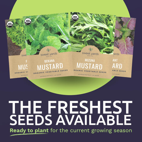 Sweet Yards Pizzo Mustard seed packet designed for flavorful harvests in small spaces.