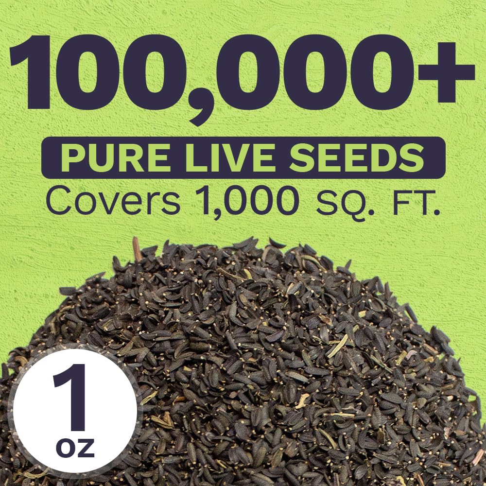 Sweet Yards Plains Coreopsis seeds show vibrant bicolor petals.
