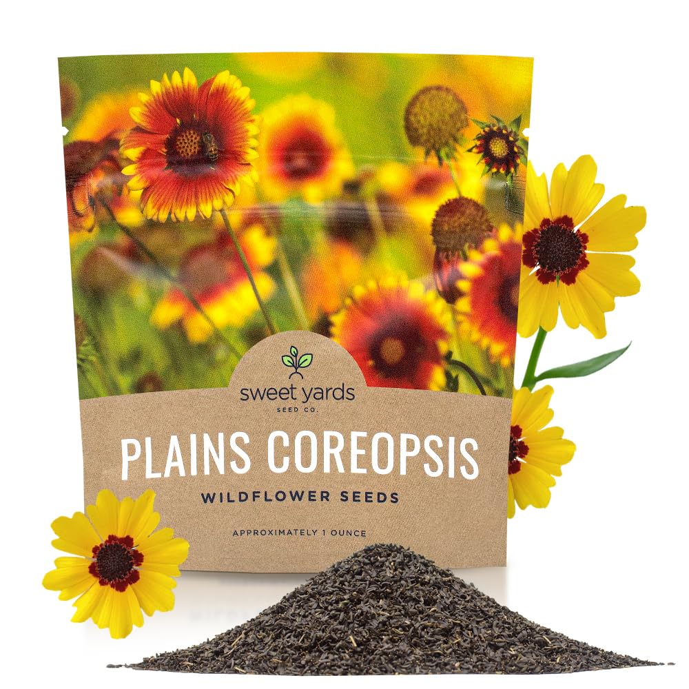 Sweet Yards Plains Coreopsis seeds in an extra-large packet for easy sowing.