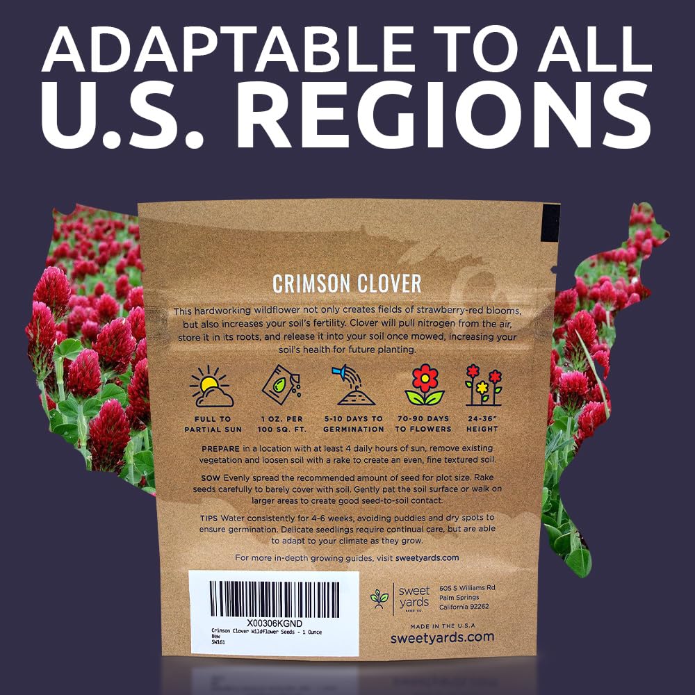 Sweet Yards Pollinator-friendly crimson clover supports bees and beneficial insects