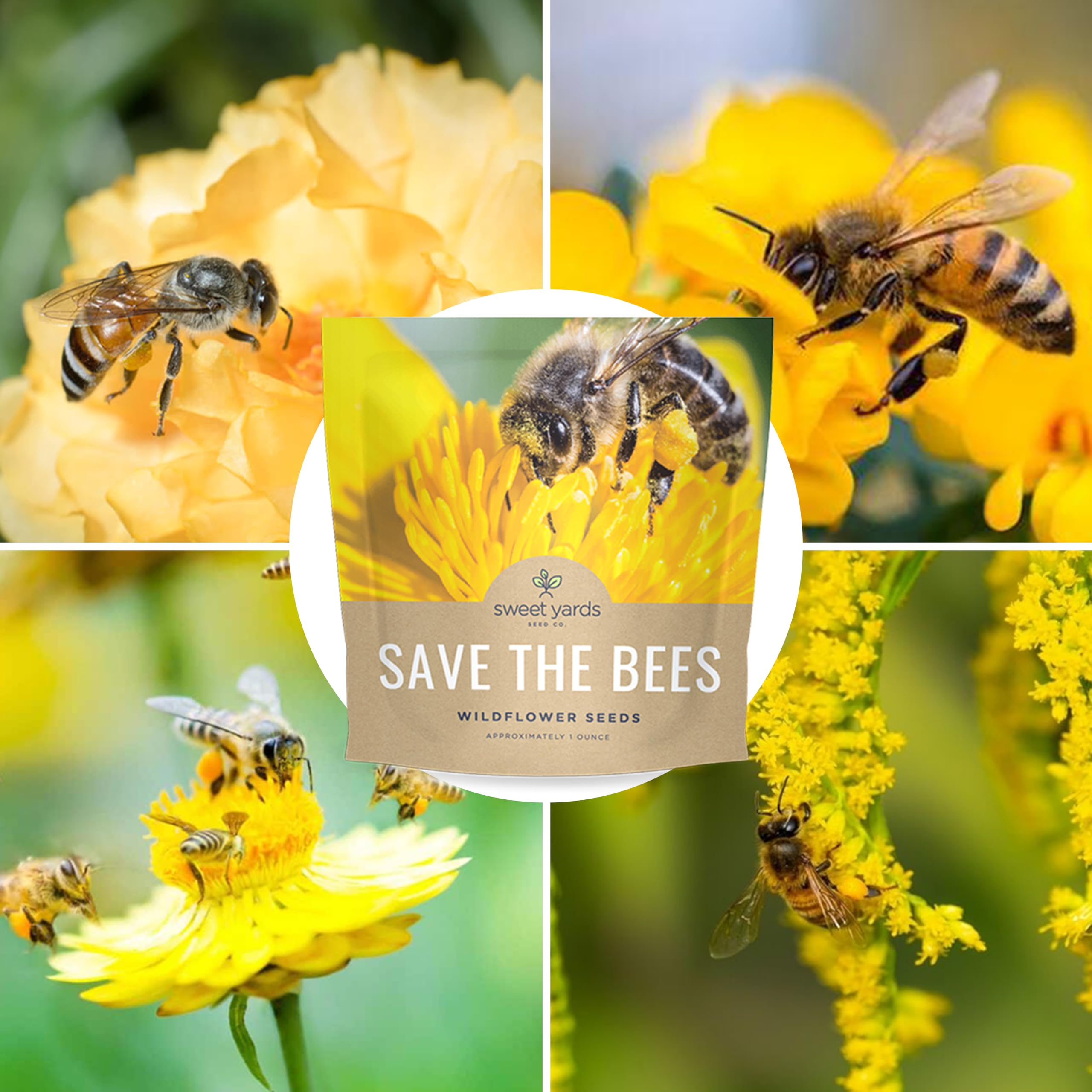 Sweet Yards pollinator-friendly blooms create a lively garden space.