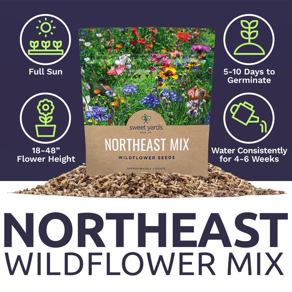 Sweet Yards pollinator-friendly wildflowers attract bees and butterflies.