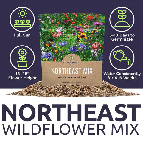Sweet Yards pollinator-friendly wildflowers attract bees and butterflies.