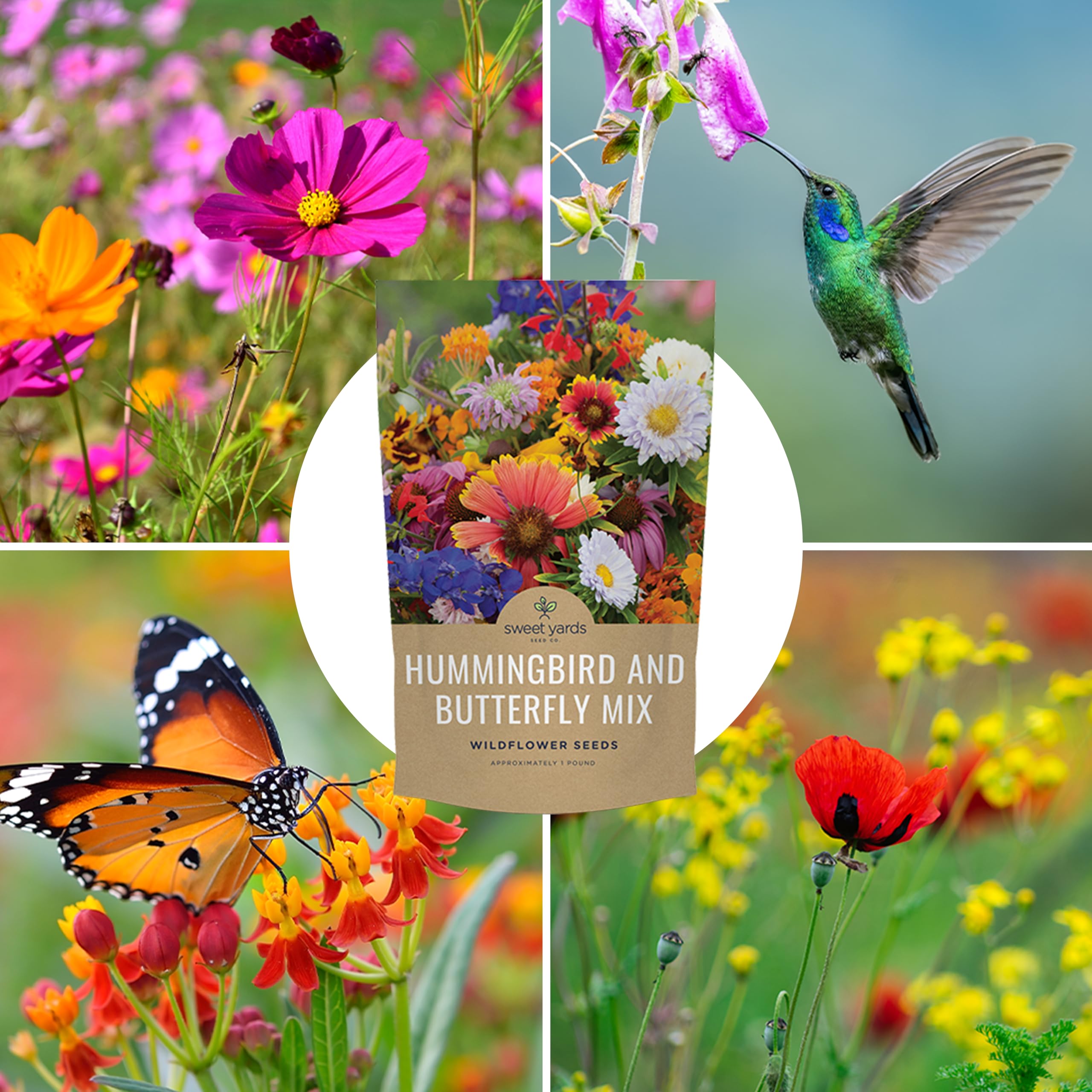 Sweet Yards pollinator-friendly bed with dense blooms for extended nectar sources.