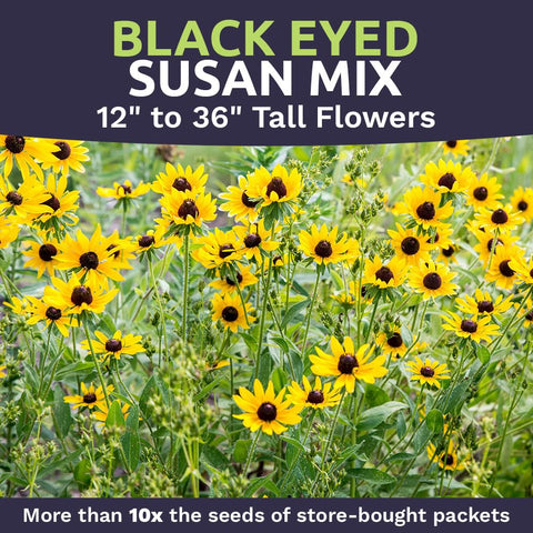 Sweet Yards premium packaging preserves seed viability and simplifies storage.