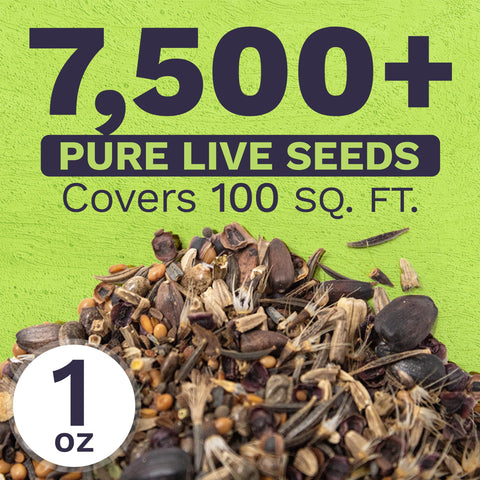 Sweet Yards premium packaging with resealable zipper keeps seeds fresh.