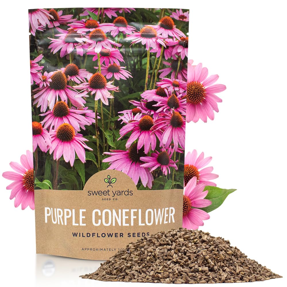 Sweet Yards Purple Coneflower seeds bulk quarter-pound ready for pollinator-friendly planting.