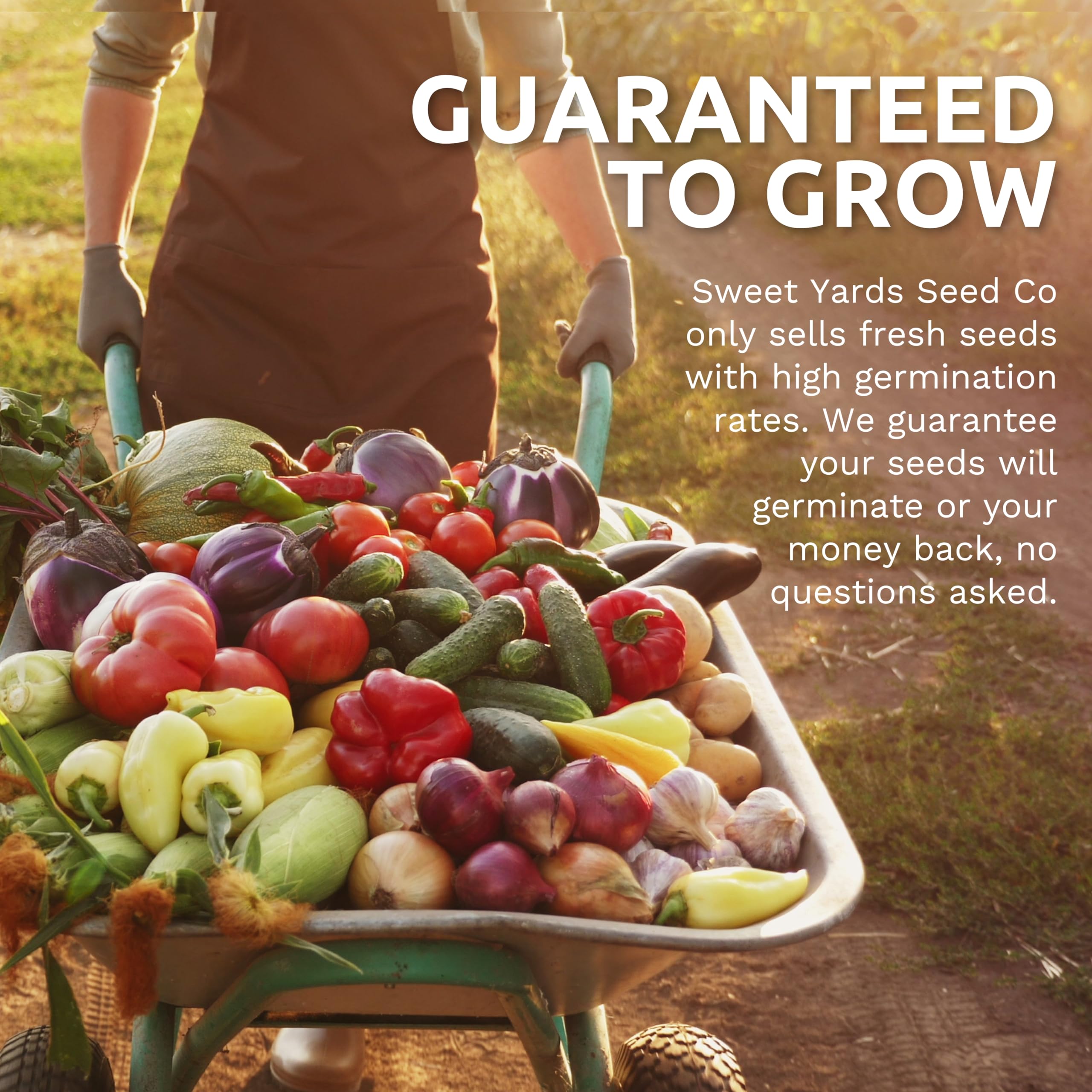 Sweet Yards Rainbow Blend two seed packets offer growing options and garden planning.