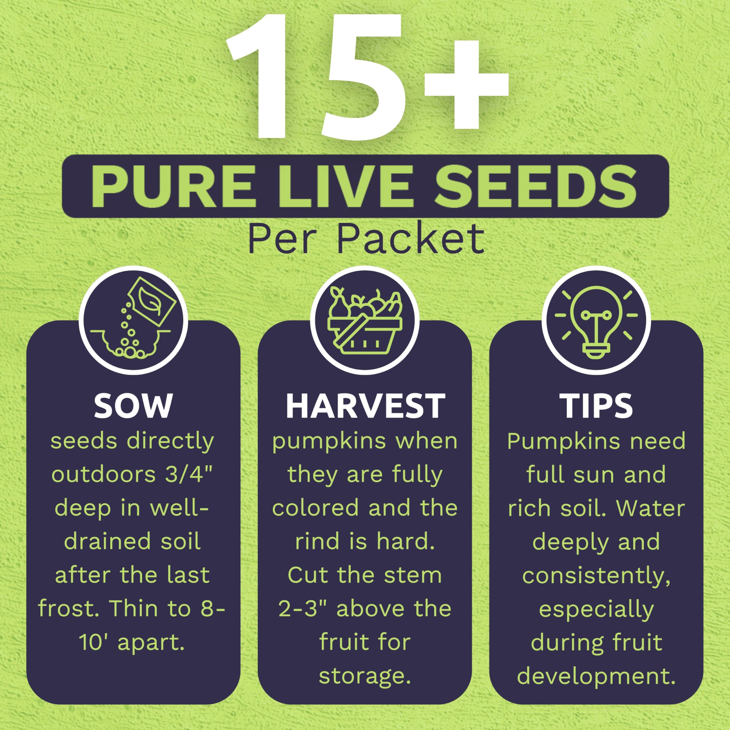 Sweet Yards rainbow seeds label back with planting instructions.