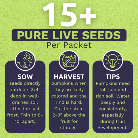 Sweet Yards rainbow seeds label back with planting instructions.