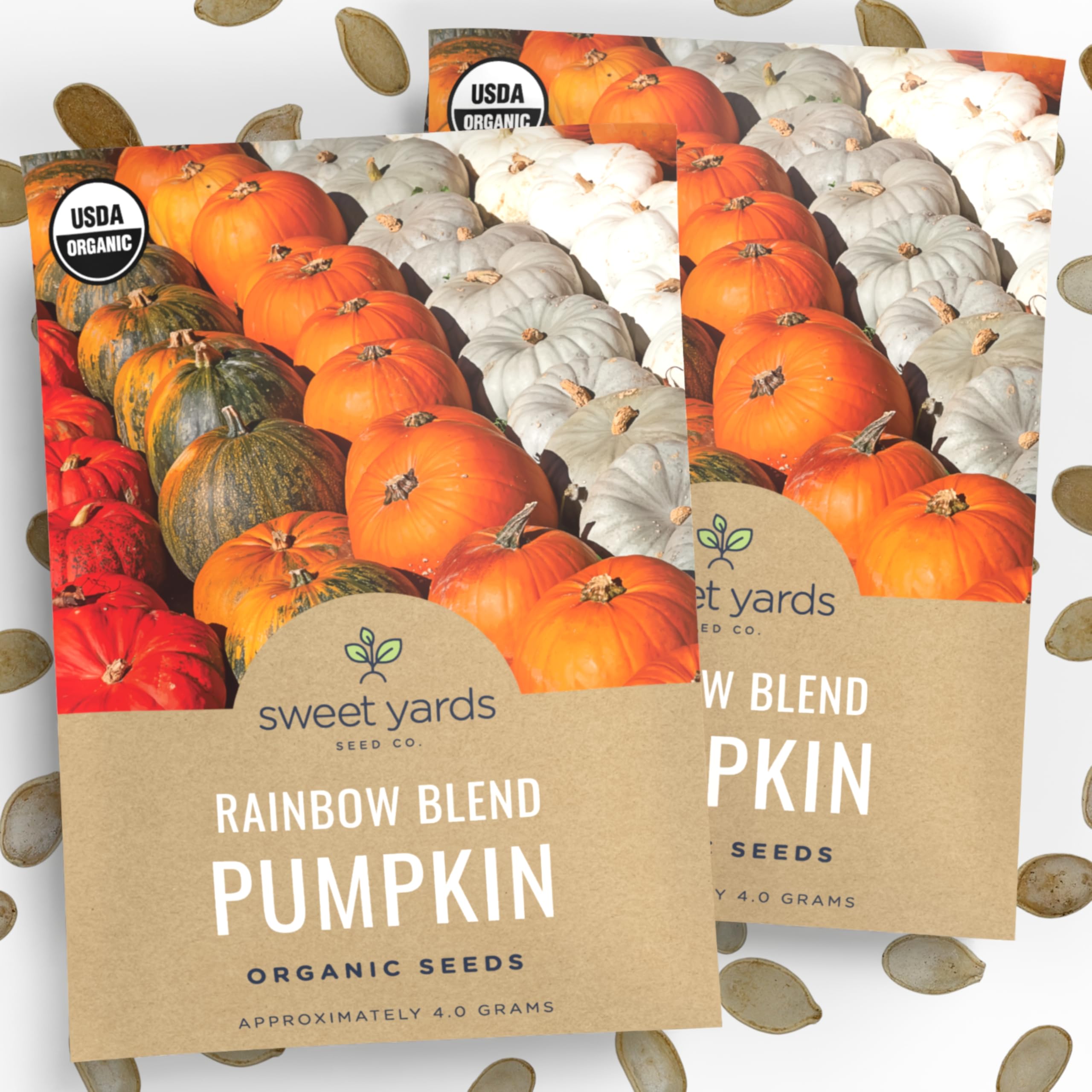 Sweet Yards Rainbow Pumpkin Seeds pack front view with premium packaging.