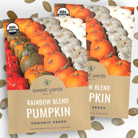 Sweet Yards Rainbow Pumpkin Seeds pack front view with premium packaging.