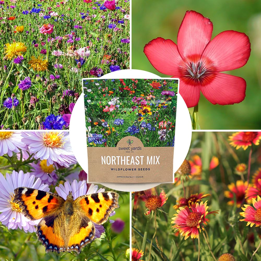 Sweet Yards regional wildflower meadow image shows adaptable Northeast mix.