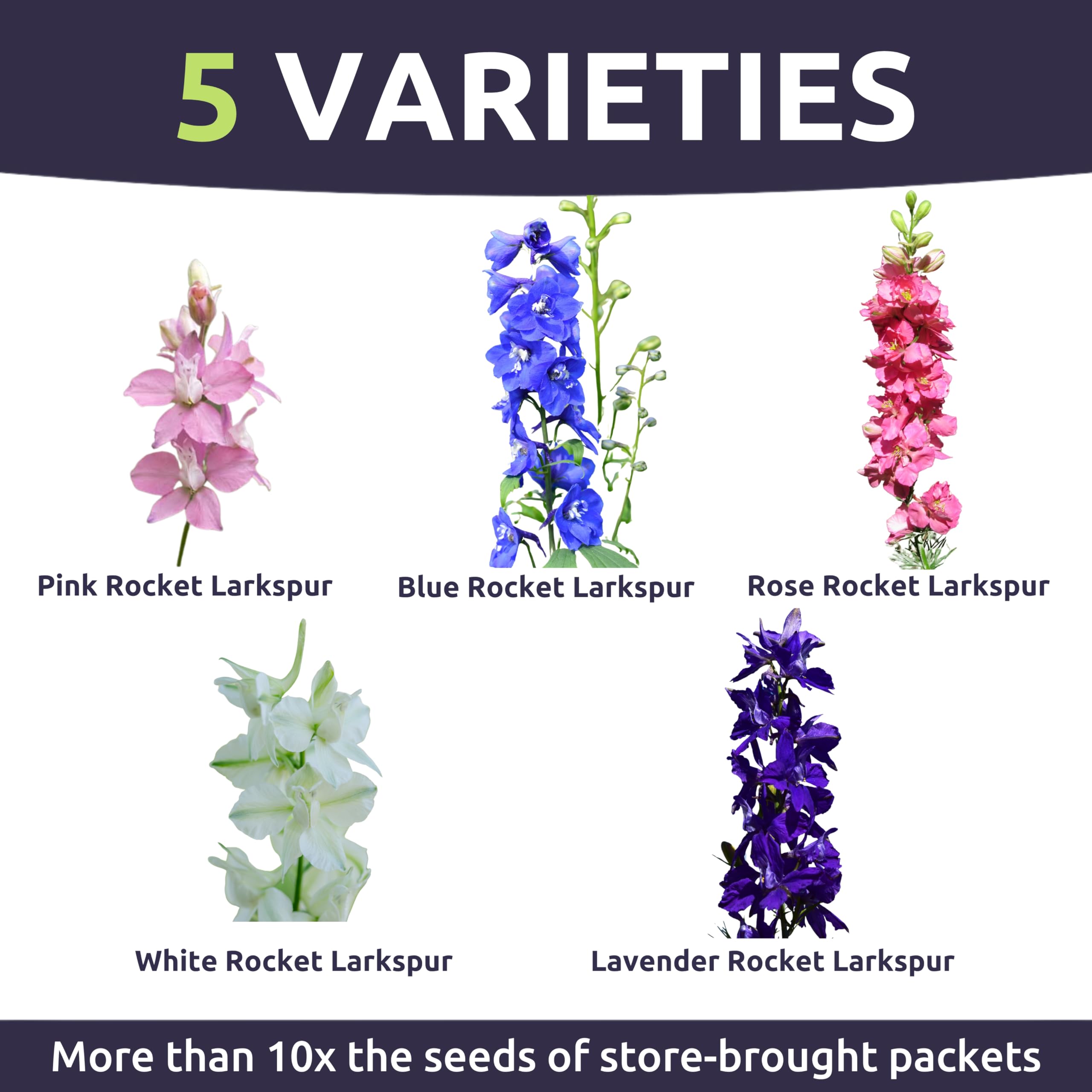 Sweet Yards Rocket Larkspur Imperial Mix color spectrum brightening borders