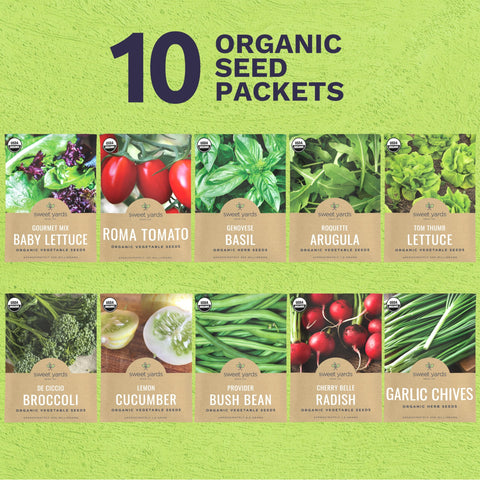 Sweet Yards roquette arugula seeds for peppery greens in compact pots