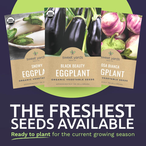 SWEET YARDS Rosa Bianca eggplant seeds packet showcases elegant purple-white fruits.
