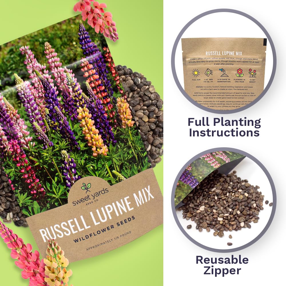 Sweet Yards Russell Lupine seeds covering about 300 sq ft in beds.