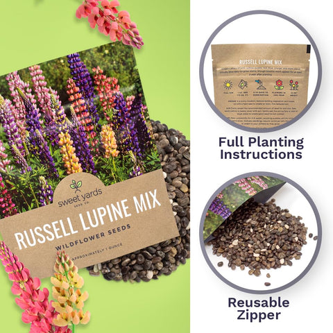 Vibrant multicolor lupine blooms in pink, purple, yellow, and blue.