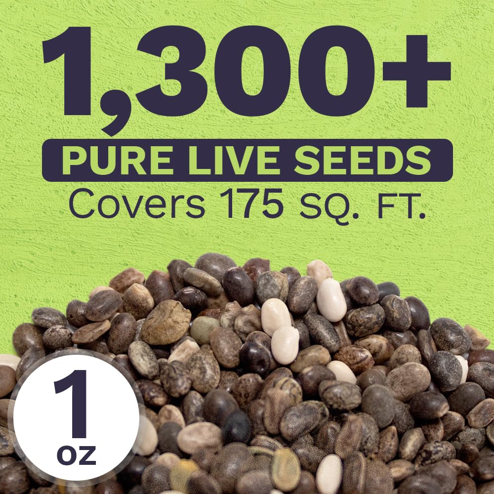 Open-pollinated, non-GMO seeds with fresh packaging for gardening success.
