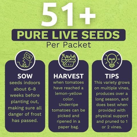 Sweet Yards San Marzano seeds – premium packaging preserves freshness.