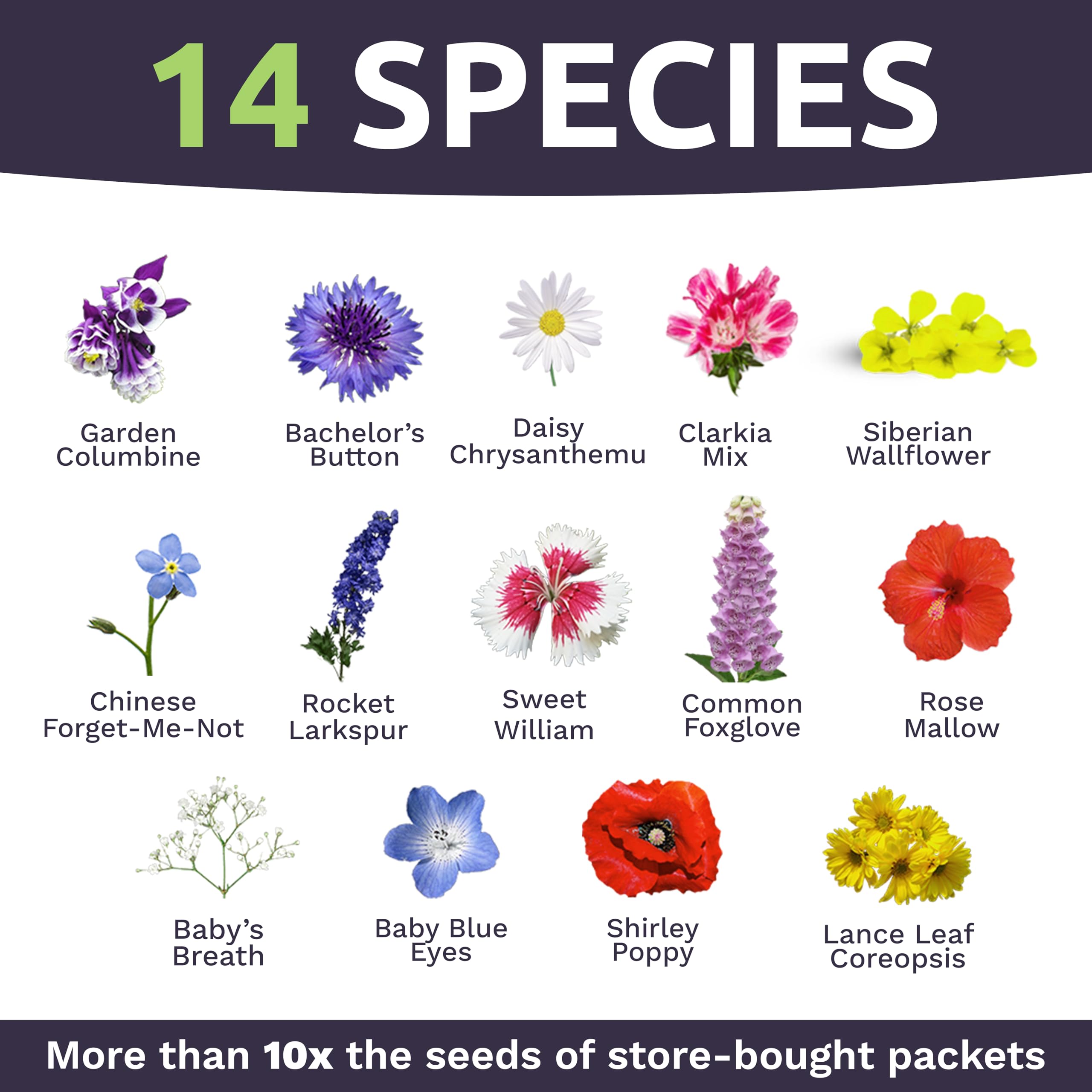 Sweet Yards bulk seeds for seed bombs and DIY packets for garden projects.