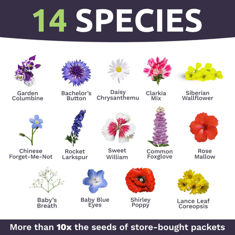 Sweet Yards bulk seeds for seed bombs and DIY packets for garden projects.