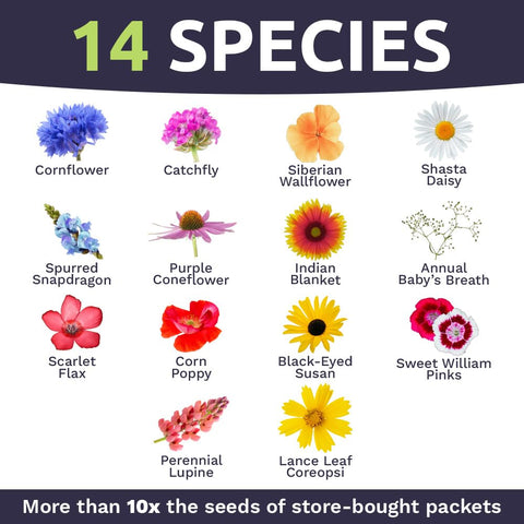 Sweet Yards 7500-plus seeds emphasize abundant planting and bloom potential.
