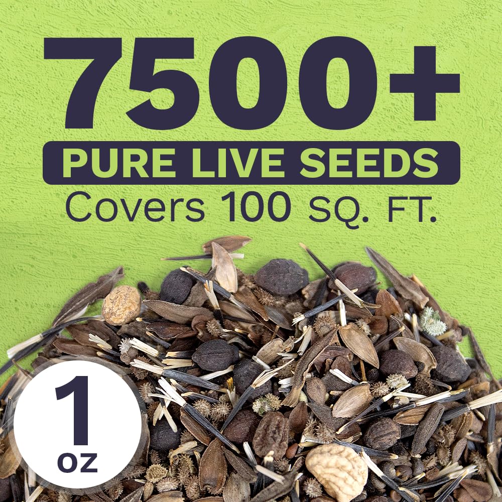 Sweet Yards over 7,500 seeds signal abundance for quick blooms.
