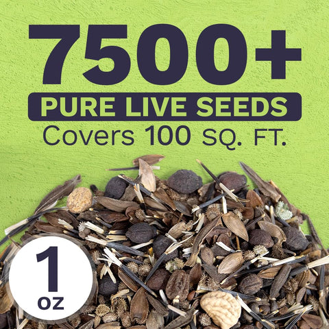 Sweet Yards over 7,500 seeds signal abundance for quick blooms.