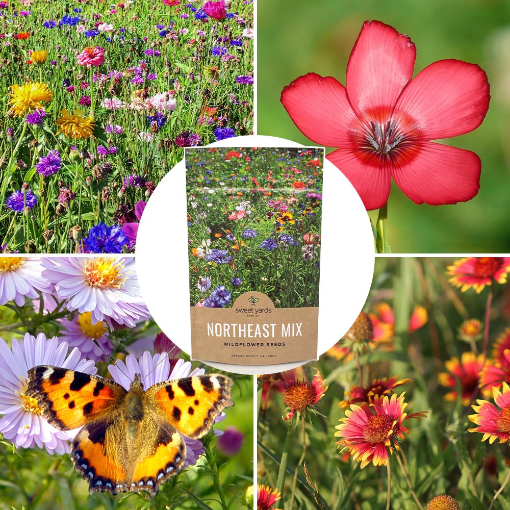 Sweet Yards seeding guide helps growers plant confidently and monitor bloom progress