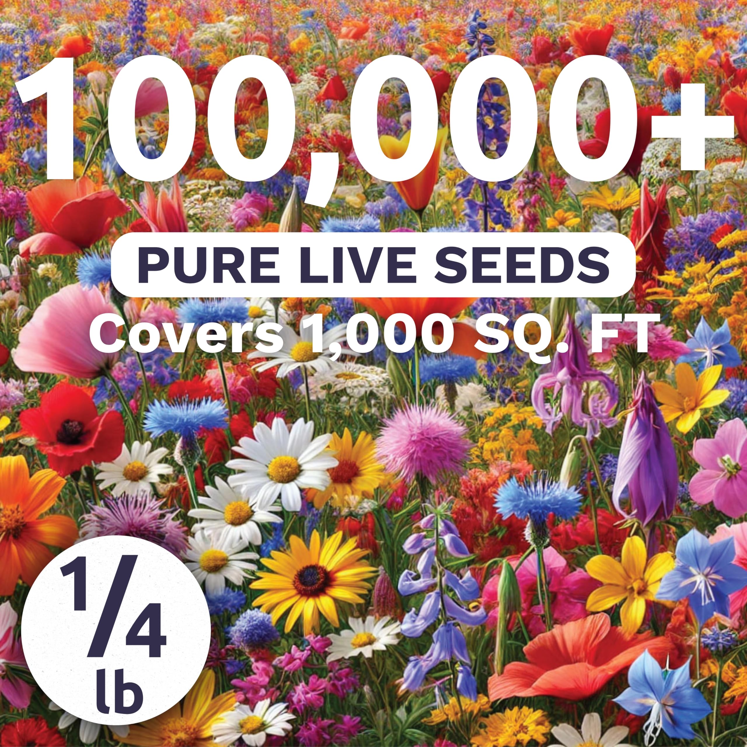 Sweet Yards seeds close-up showing abundance for easy sowing.