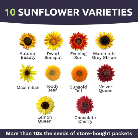 Sweet Yards seeds with high germination potential for quick growth.