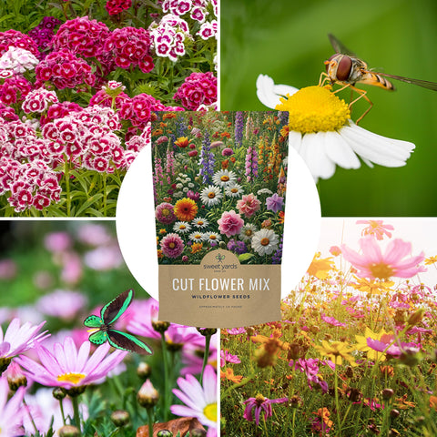Sweet Yards bulk seeds ideal for sharing with friends