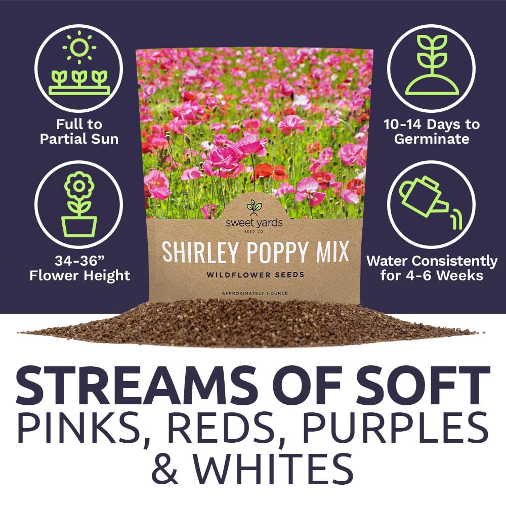 Sweet Yards Shirley Poppy Seeds open-pollinated non-GMO heritage seeds