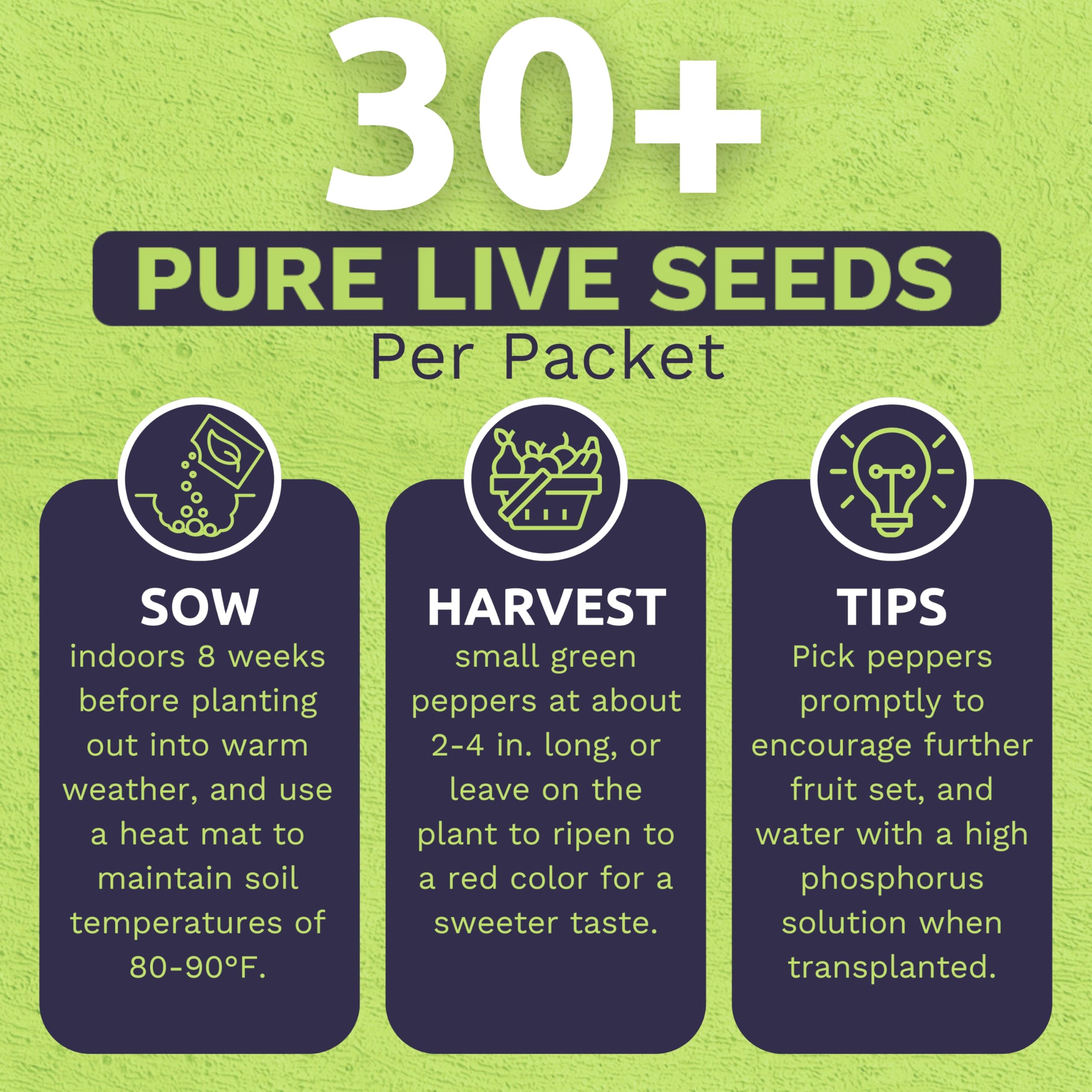 Back of packet planting instructions for Shishito seeds