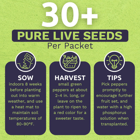 Back of packet planting instructions for Shishito seeds