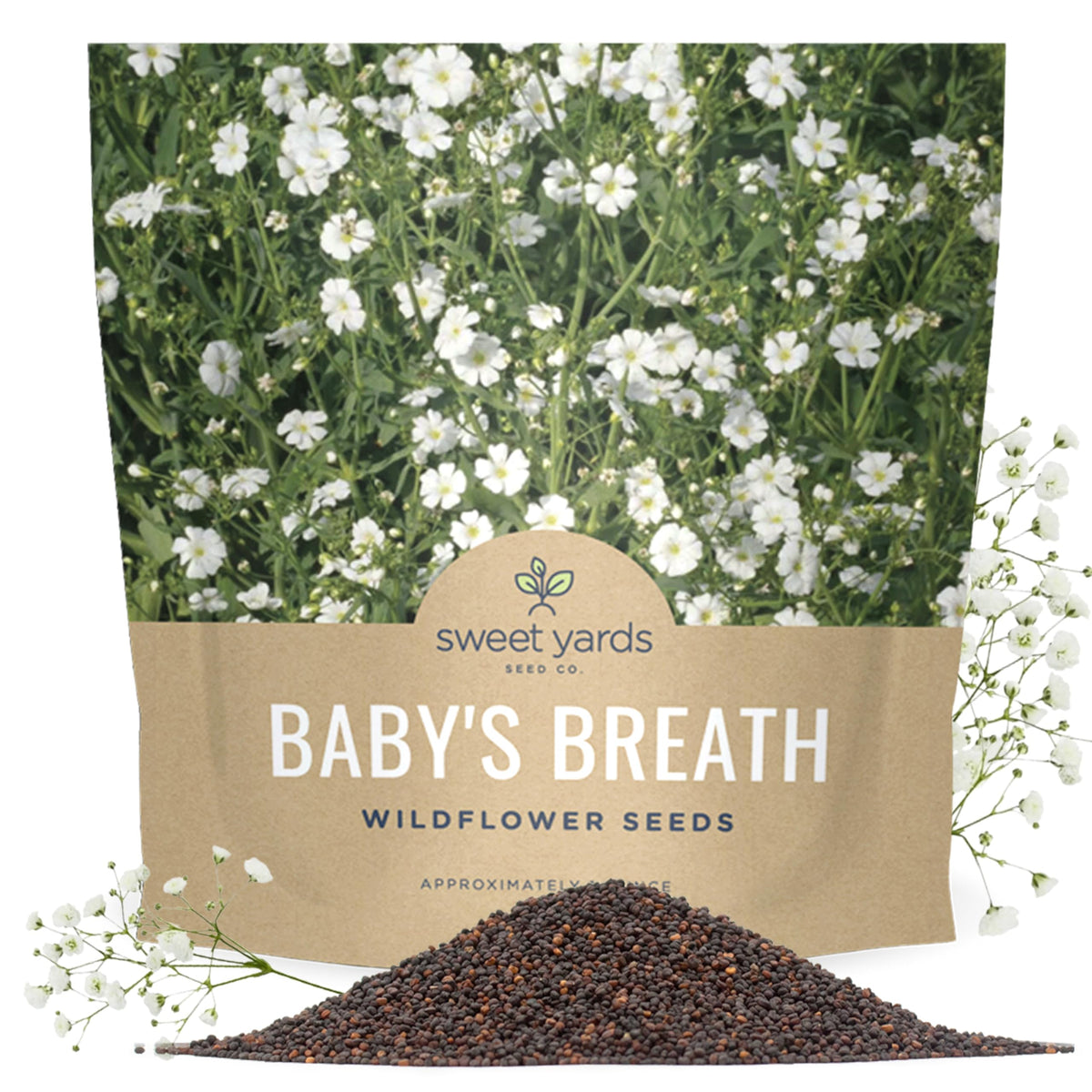 SWEET YARDS Showy Baby's Breath seeds bulk bag ready for planting and coverage