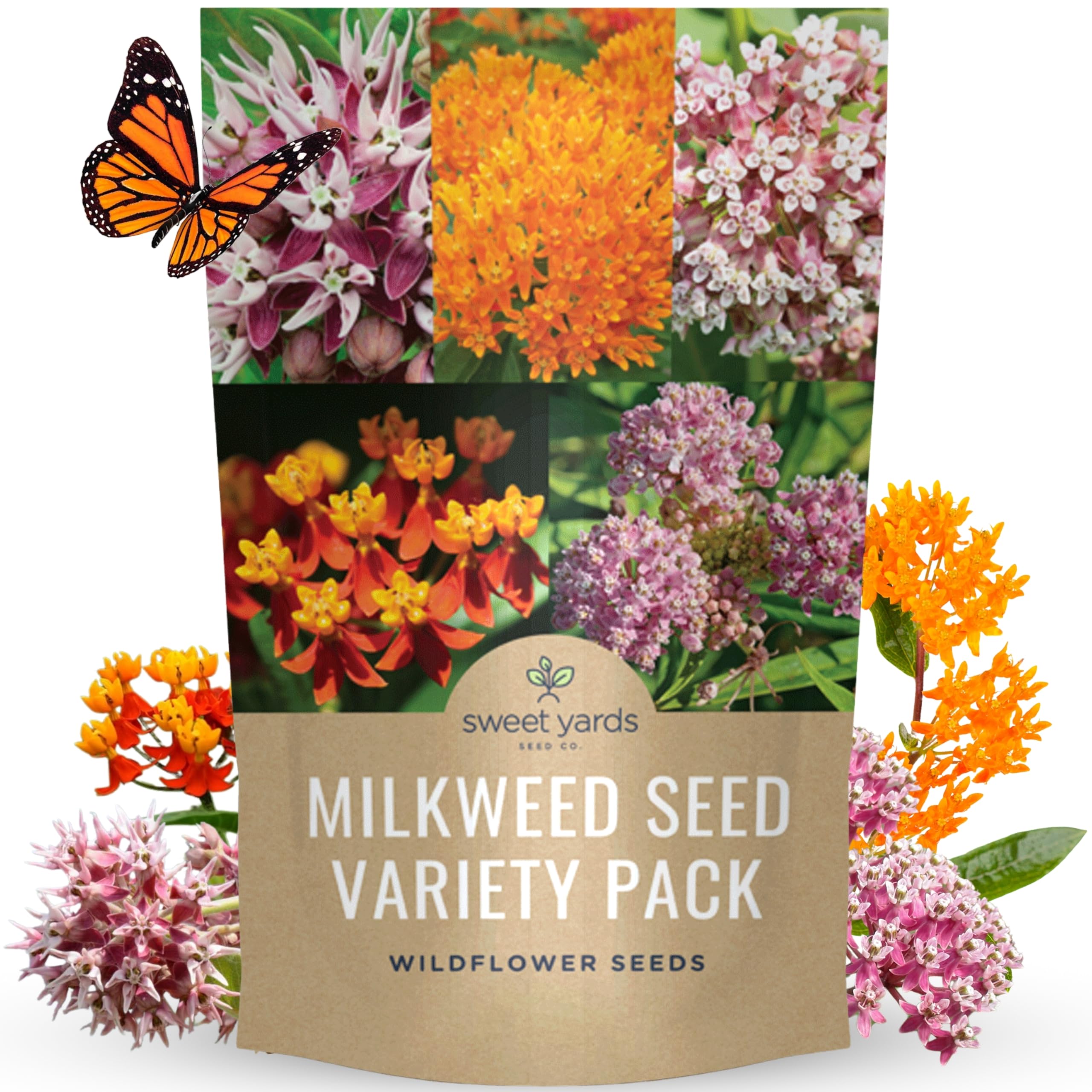 Sweet Yards Showy Milkweed seeds ready for monarch-friendly gardening and easy planting